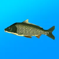 Реальная Рыбалка [ВЗЛОМ: Премиум] v 1.19.2.932
